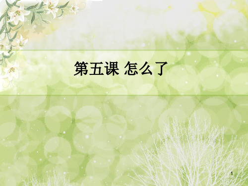 初级汉语口语第五课(课堂PPT)