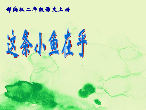 《这条小鱼在乎》课件(部编版二年级语文上册课件)