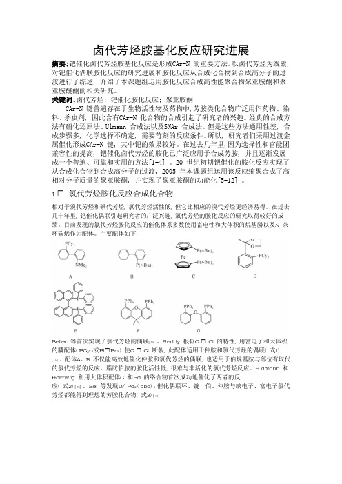 卤代芳烃胺基化反应研究进展