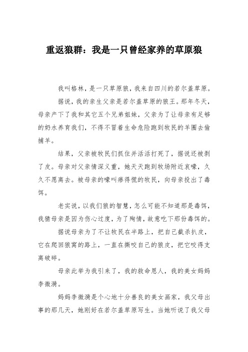 重返狼群：我是一只曾经家养的草原狼