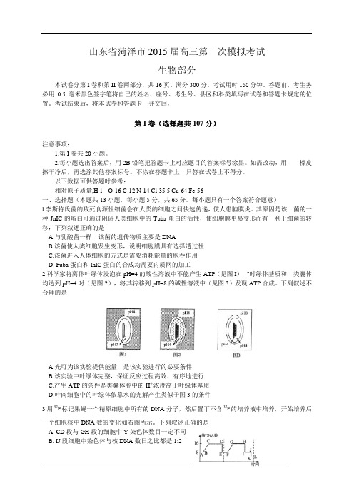 山东省菏泽市2015届高三第一次模拟考试理综试题