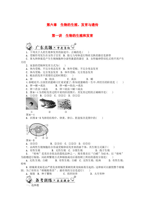 中考生物一轮复习生物的生殖和发育真题汇总练习新人教版