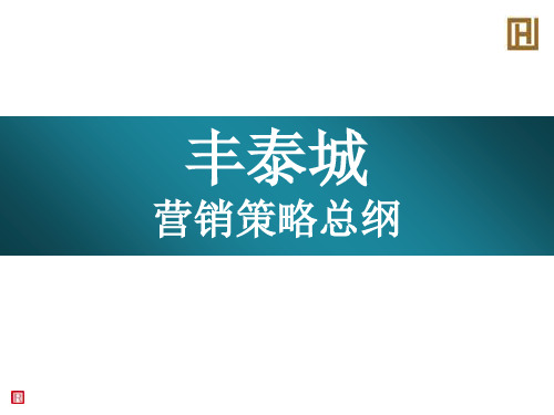 丰泰城营销策略总纲