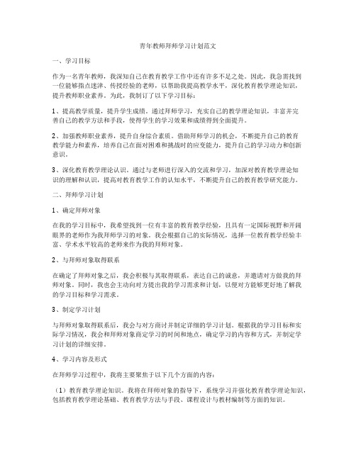 青年教师拜师学习计划范文