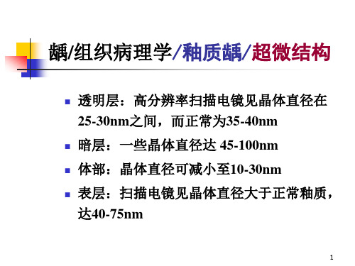 第九章_龋病3