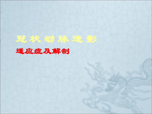 冠状动脉的分布ppt课件
