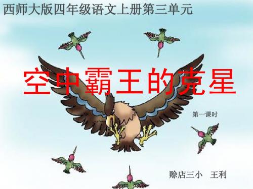 空中霸王的克星第一课时