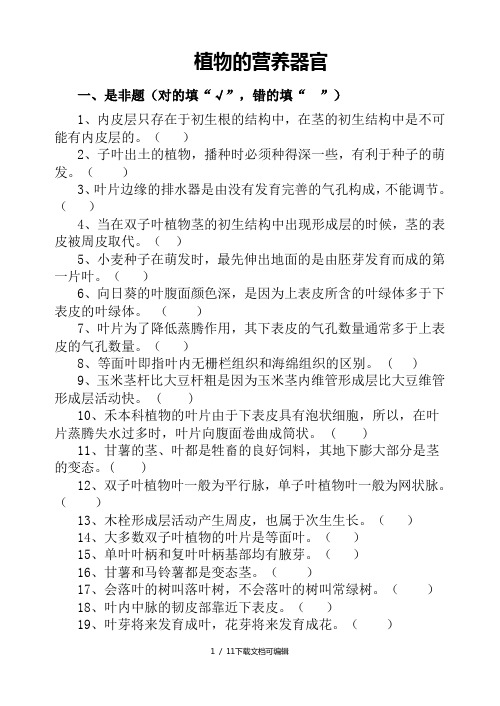 植物的营养器官复习题