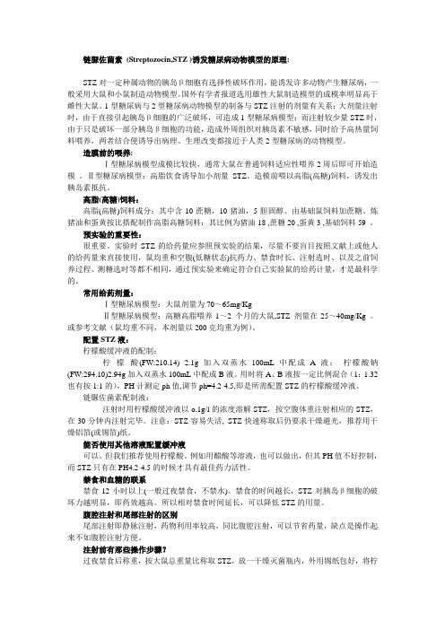 stz造模