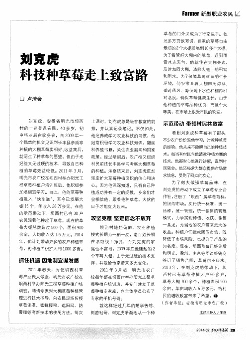 刘克虎 科技种草莓走上致富路