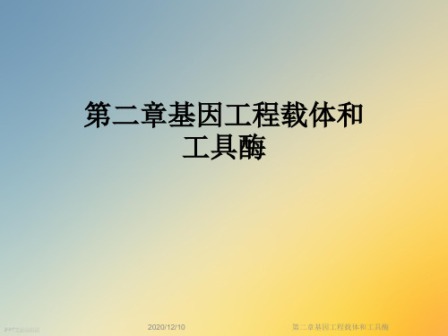 第二章基因工程载体和工具酶