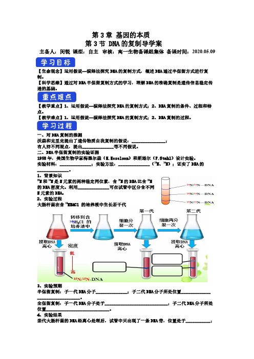 3.3 DNA的复制-高中生物必修二(2019)导学案
