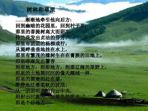 语文版语文七年级上册 树林和草原优质课件PPT