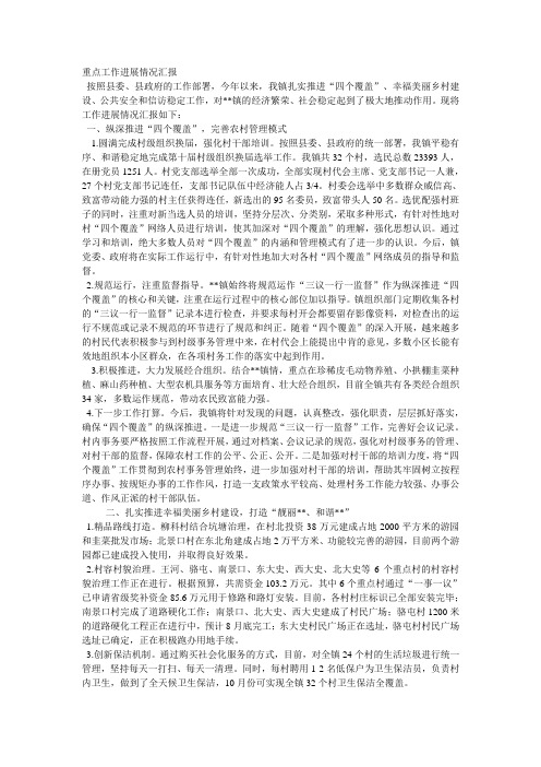 重点工作进展情况汇报