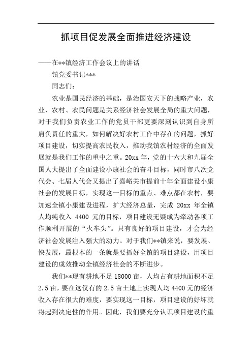 抓项目促发展全面推进经济建设