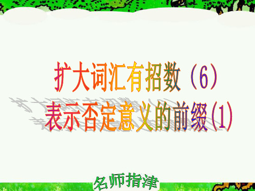 表示否定意义的前缀PPT参考课件