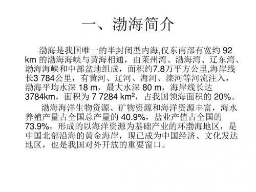 渤海水污染专题报告
