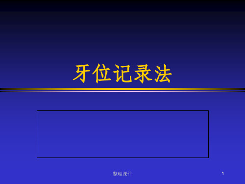 牙位记录
