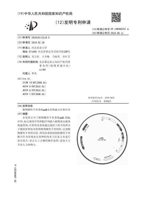 【CN109868284A】植物雄性不育系统pAB及其构建方法和应用【专利】