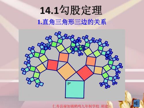 八上数第14章 勾股定理第1节《勾股定理》课件