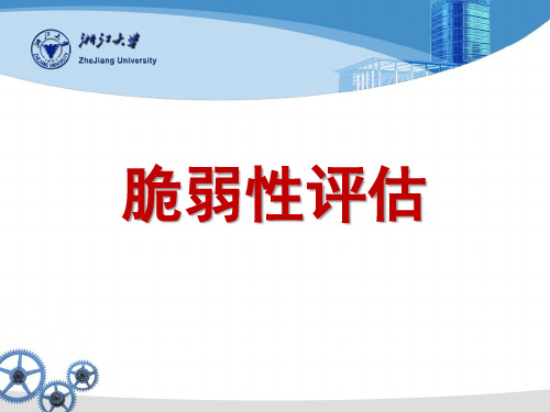 脆弱性评估及食品欺诈和食品掺假PPT课件