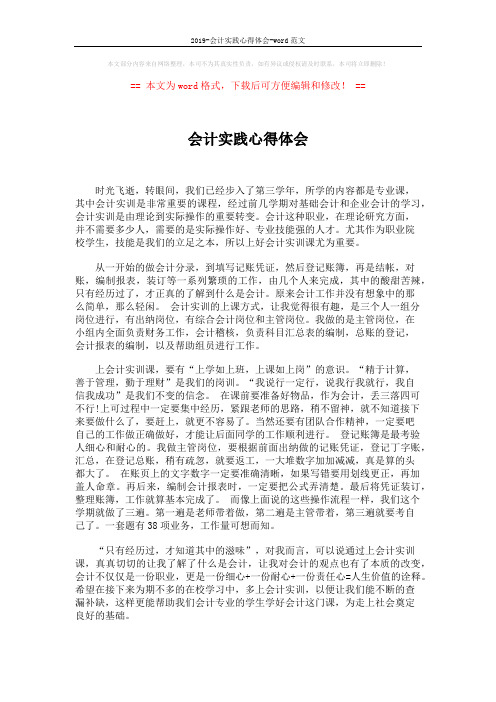 2019-会计实践心得体会-word范文 (1页)