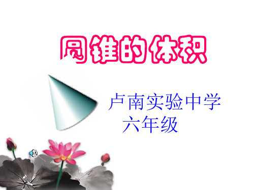 《圆锥的体积》复习课1教学课件2