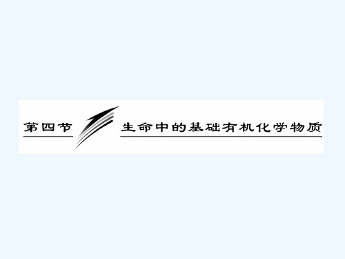 生命中的基础有机化学物质 PPT