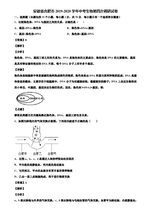 安徽省合肥市2019-2020学年中考生物第四次调研试卷含解析