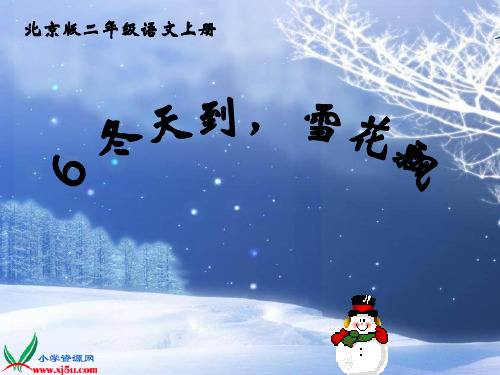 北京版语文二年级上册《冬天到,雪花飘 2》课件