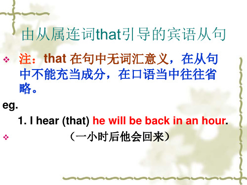 that 引导的宾语从句
