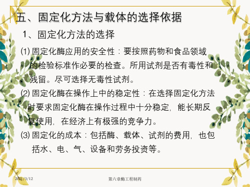 第六章酶工程制药