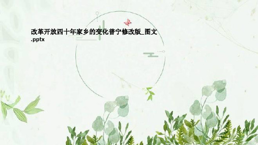 改革开放四十年家乡的变化普宁修改版_图文