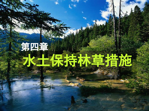 第四章 水土保持生物措施(2)