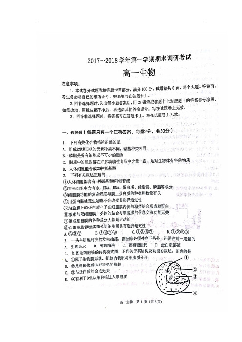 河南省平顶山市2017-2018学年高一上学期期末调研考试生物试卷