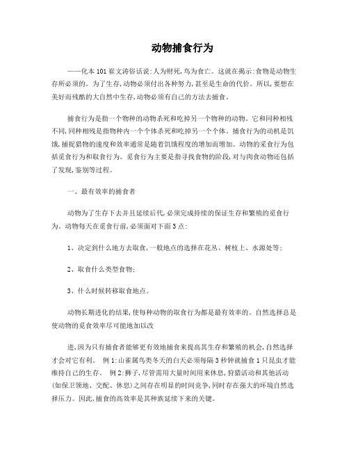 动物行为学——捕食行为