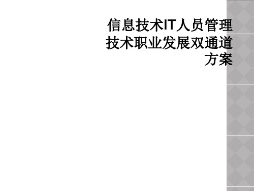 信息技术IT人员管理技术职业发展双通道方案