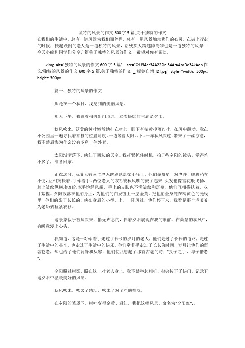独特的风景的作文600字5篇,关于独特的作文 