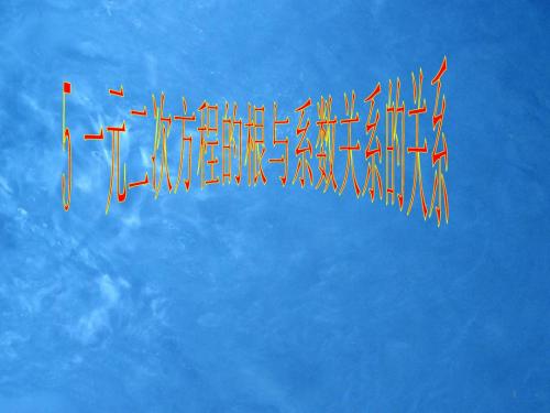 5 一元二次方程的根与系数的关系