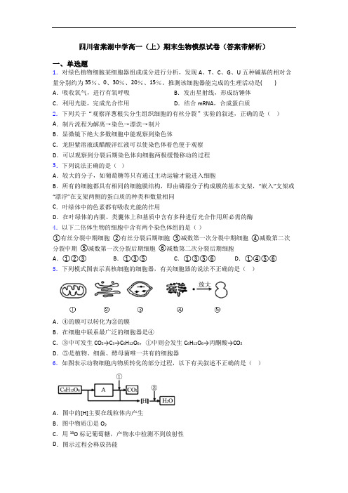 四川省棠湖中学高一(上)期末生物模拟试卷(答案带解析)