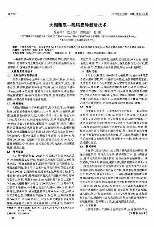 大棚甜瓜—晚稻复种栽培技术