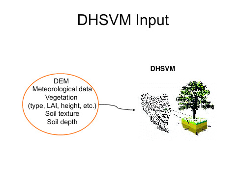 分布式水文模型DHSVM_Model_Inputs
