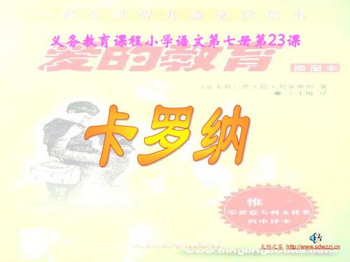 23、卡罗纳课件