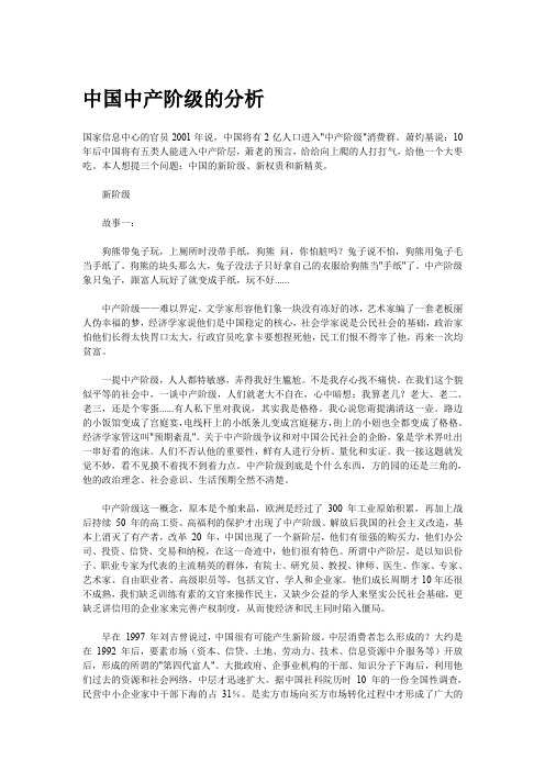 中国中产阶级的分析