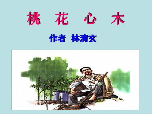桃花心木优秀精选幻灯片课件