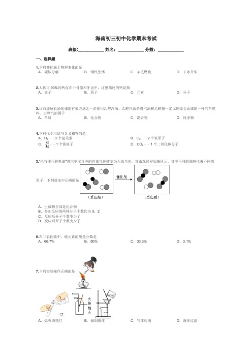 海南初三初中化学期末考试带答案解析
