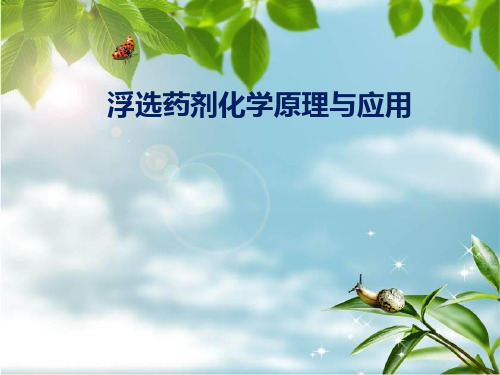 浮选药剂化学原理与应用-绪 论