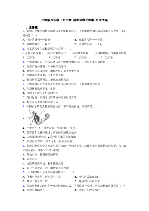 生物版八年级上册生物 期末试卷及答案-百度文库