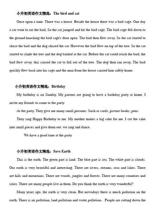 小升初英语作文精选