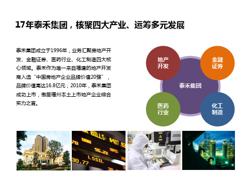 泰禾集团产品系